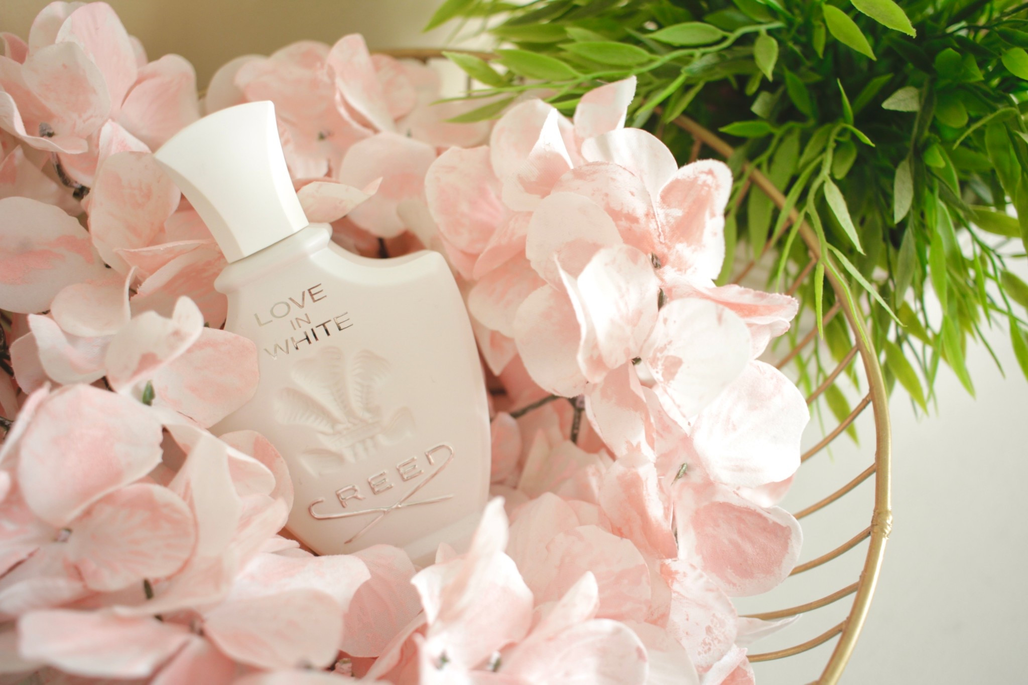 One fragrance that garners the most compliments is Love in White by Creed. I can understand why so many celebrities call this their favorite! It’s the perfect spring fragrance if you’re looking for something light and floral. #creed #loveinwhite #perfume #eaudeparfum #fragrance #eaudetoilette 

#LTKBeauty #LTKStyleTip
