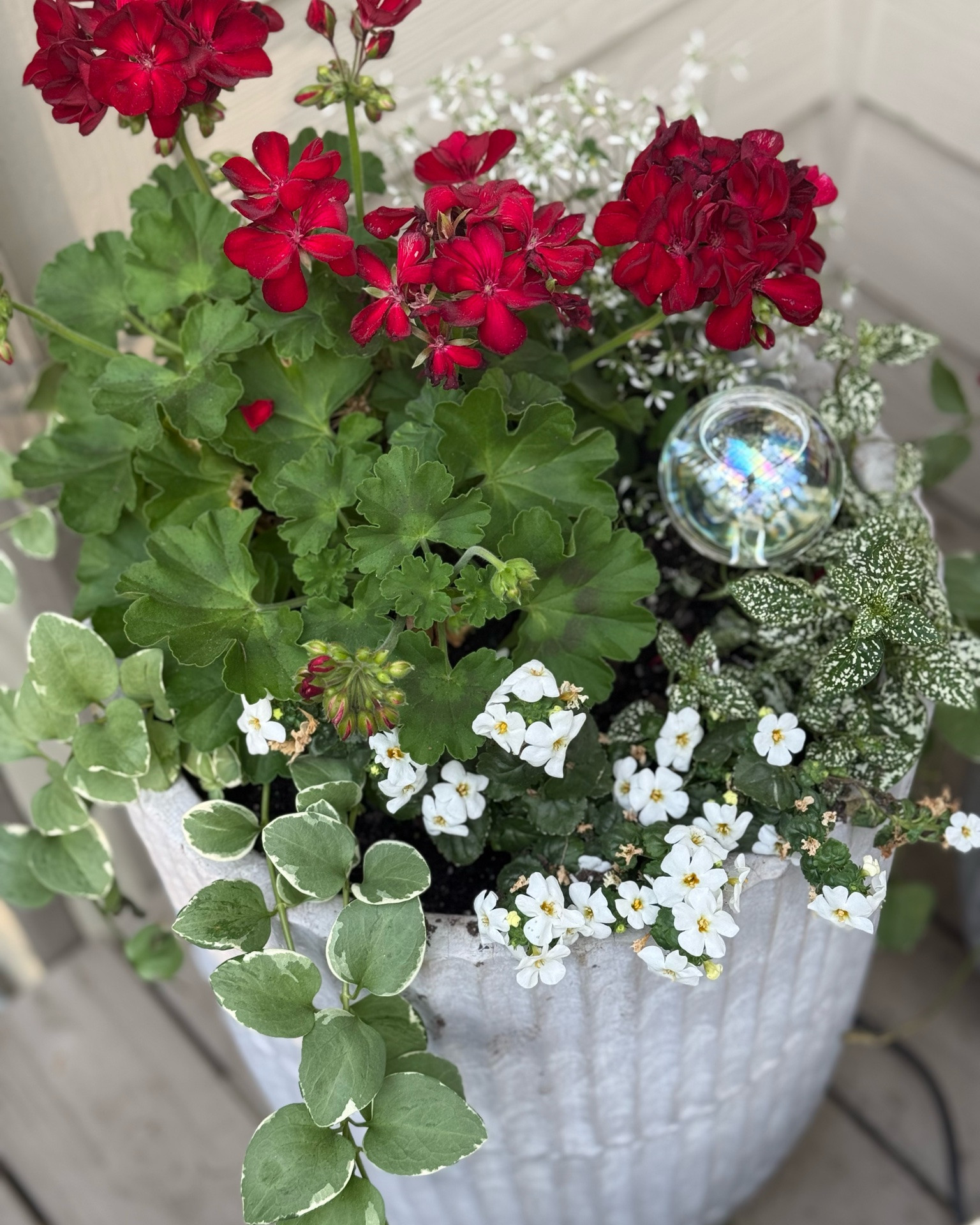 Love these watering globes!  They look like bubbles and are made of glass. They look so pretty in my planters.

#LTKSeasonal