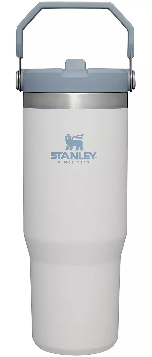 Stanley 30 Oz. IceFlow Tumbler with Flip Straw | Dick's Sporting Goods