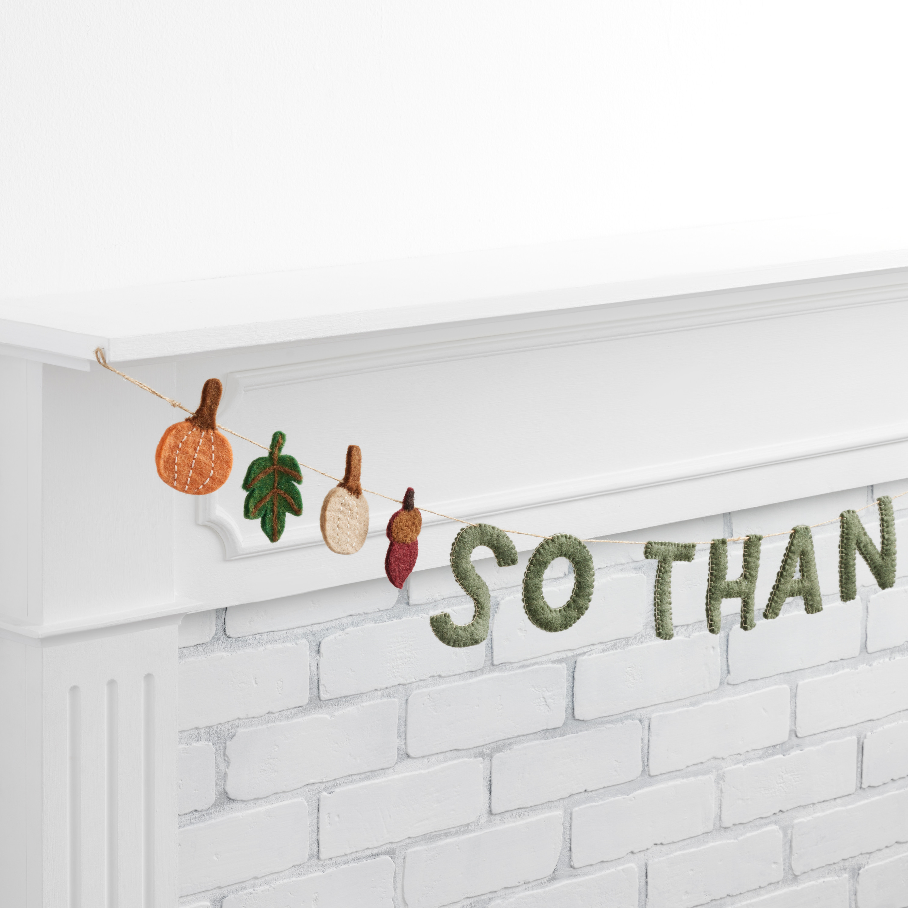 Felted Wool So Thankful Garland | World Market