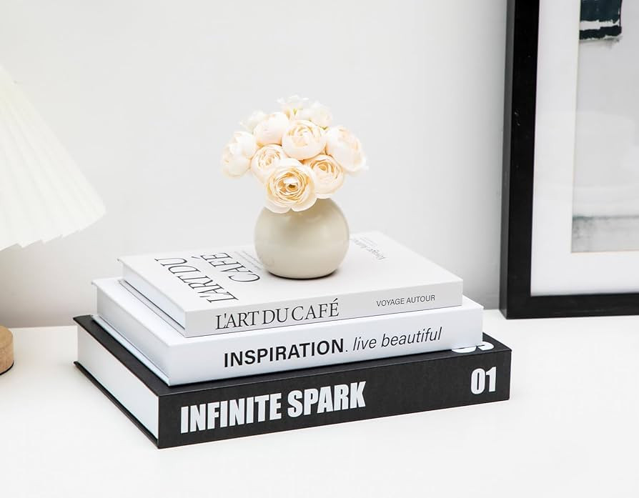 TwoDays Stockholm Style Decorative Books - Fake Faux Books for Chic Trendy Home Decor, Modern Roo... | Amazon (US)
