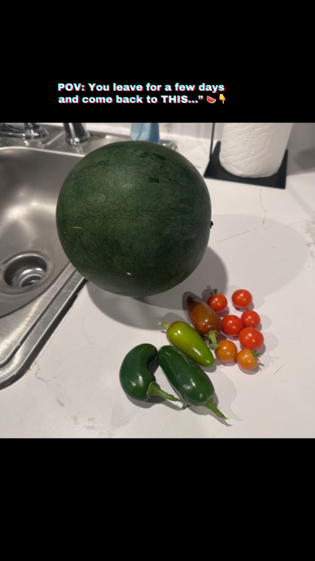 Vacation was amazing, but coming home to this harvest? Pure joy. 🌱💚

One Sugar Baby watermelon 🍉, fresh jalapeños 🌶️, peppers, and handfuls of sweet cherry tomatoes 🍅. Nothing beats walking outside and bringing dinner (and snacks!) straight from the garden. Every season teaches me patience, and moments like this make it all worth it. ✨

#GardenHarvest #HomegrownFood #SugarBabyWatermelon #GardenTok #GrowYourOwn

#LTKHome #LTKdayinmylife #LTKfoodie
