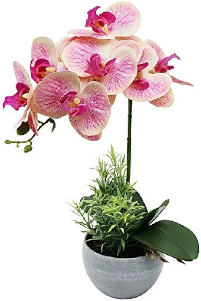 Olrla Artificial Orchid Flower in Grey Pot, Faux Pink Orchid Real Touch Fake Phalaenopsis Bonsai ... | Amazon (US)