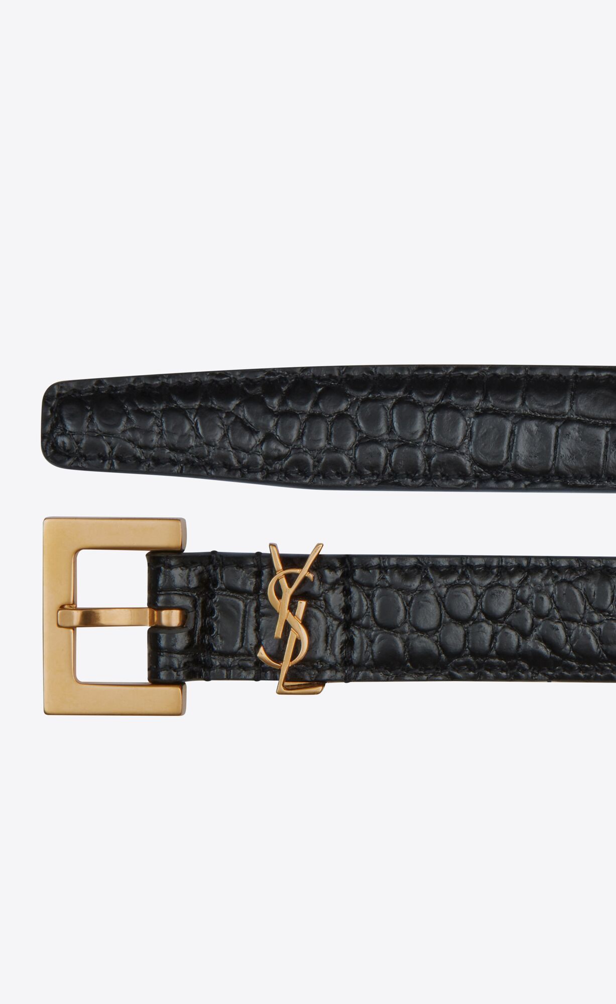 cassandre thin belt with square buckle in crocodile-embossed leather | Saint Laurent Inc. (Global)