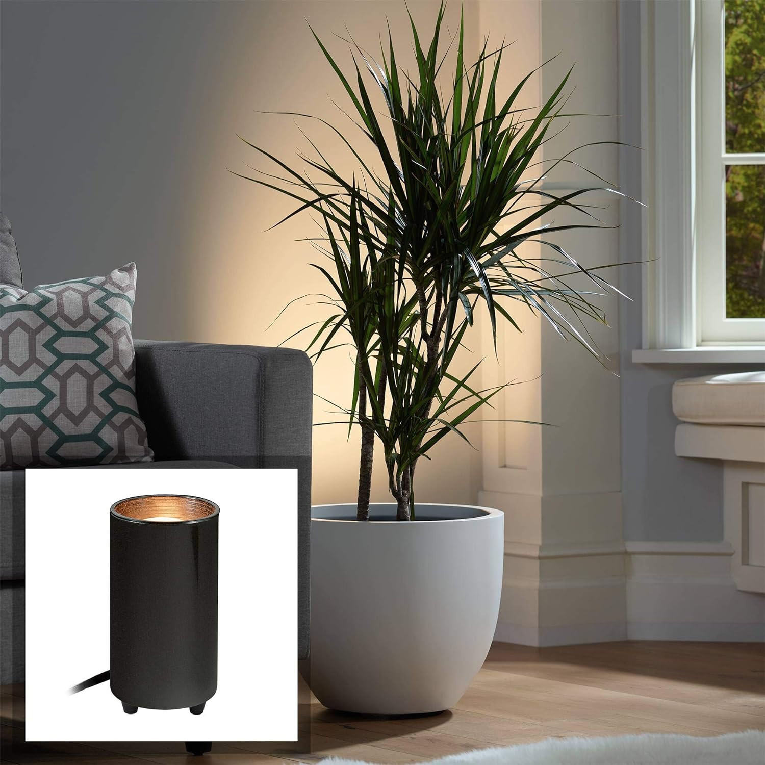 Pro Track Can Mini Small Uplighting Indoor Accent Spot-Light Plug-in Floor Plant Home Decorative ... | Amazon (US)