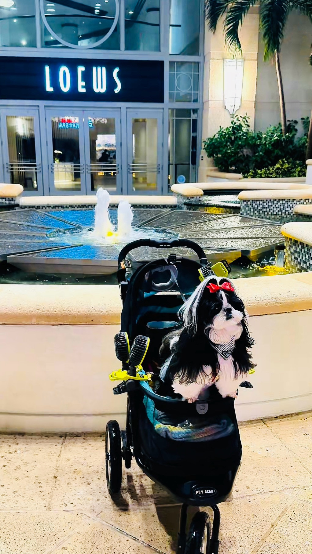 Loews South Beach Miami dinner at Rao’s 🍝✨ A legendary dining room tucked inside one of South Beach’s most iconic oceanfront hotels. Old school glamour, crisp white tablecloths, glowing lamps, classic cocktails, and that timeless Rao’s energy. Nirvana stopped in for a Miami night of stuffed clams, chopped salad, lemon chicken, pasta done right, and the kind of tables worth dressing up for.

Linking luxury accessories, handbags, and polished pieces that match the South Beach art deco meets classic Rao’s aesthetic. Think elevated dinner looks, statement bags, gold details, and timeless glamour for your next Miami evening.

Nirvana the Shih Tzu 💋 Nirvana Approved

#LTKdayinmylife #LTKgrwm #LTKTravel