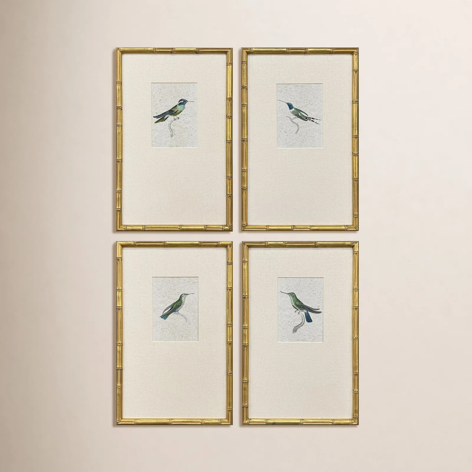 Birch Lane™ Antique Hummingbirds Framed Art | Wayfair | Wayfair North America