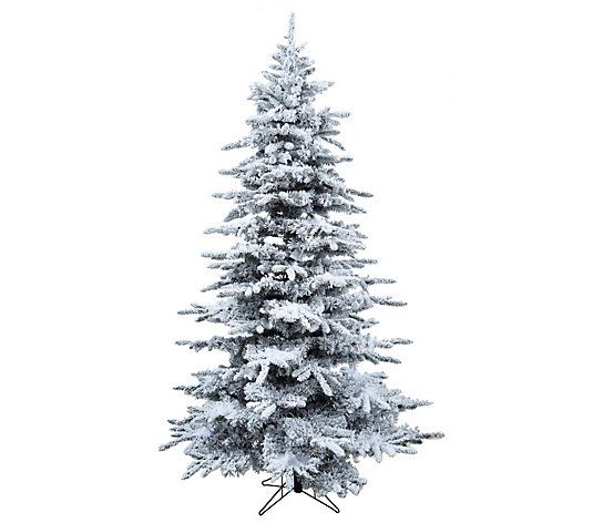 Christmas Time 7.5 Ft Silverado Pine White Flocked Slim Christ - QVC.com | QVC