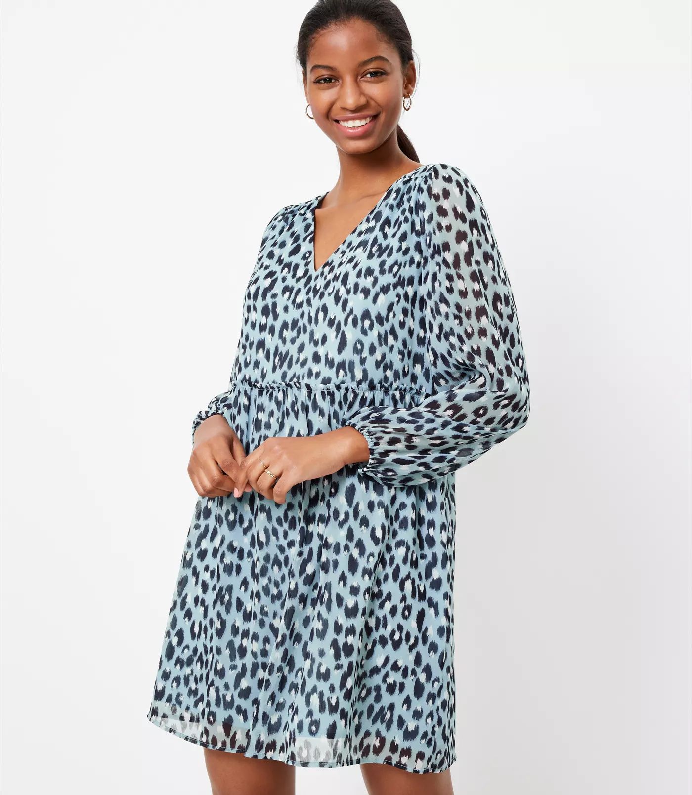 Leopard Print V-Neck Swing Dress | LOFT | LOFT