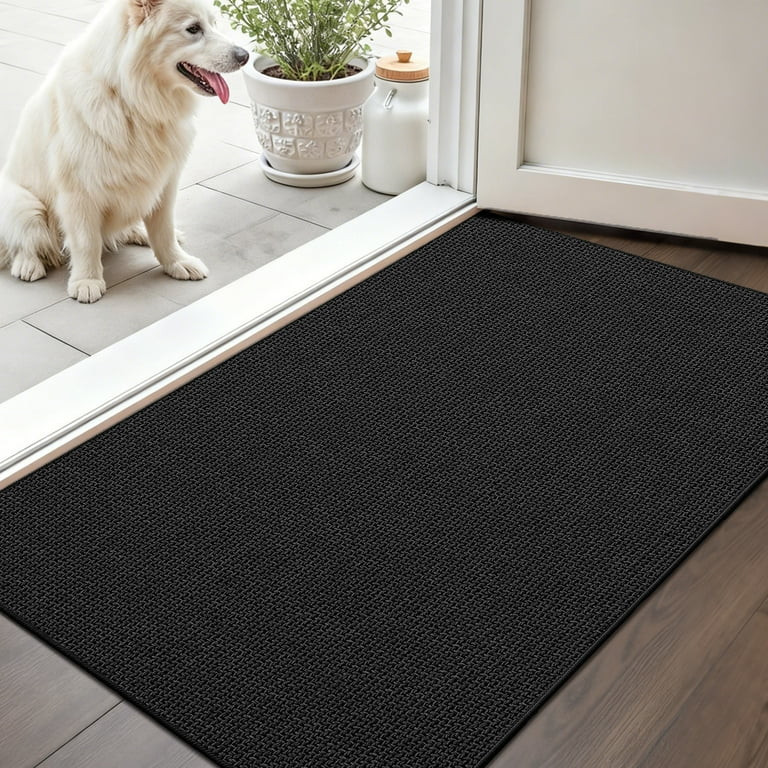 PABUBE Thin Indoor Doormat, Durable Dirt Trapper Entry Rug for Inside House, Non Slip Doormat Ind... | Walmart (US)