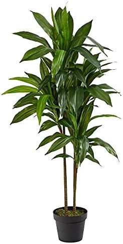 Nearly Natural 43in. Dracaena Silk (Real Touch) Artificial Plant, Green | Amazon (US)