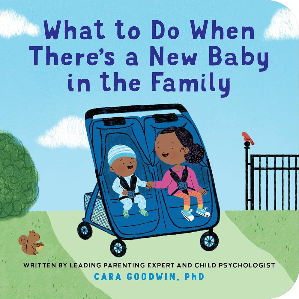 What to Do When There's a New Baby in the Family: A New Baby Book for Toddlers (Big Feelings Book... | Amazon (US)