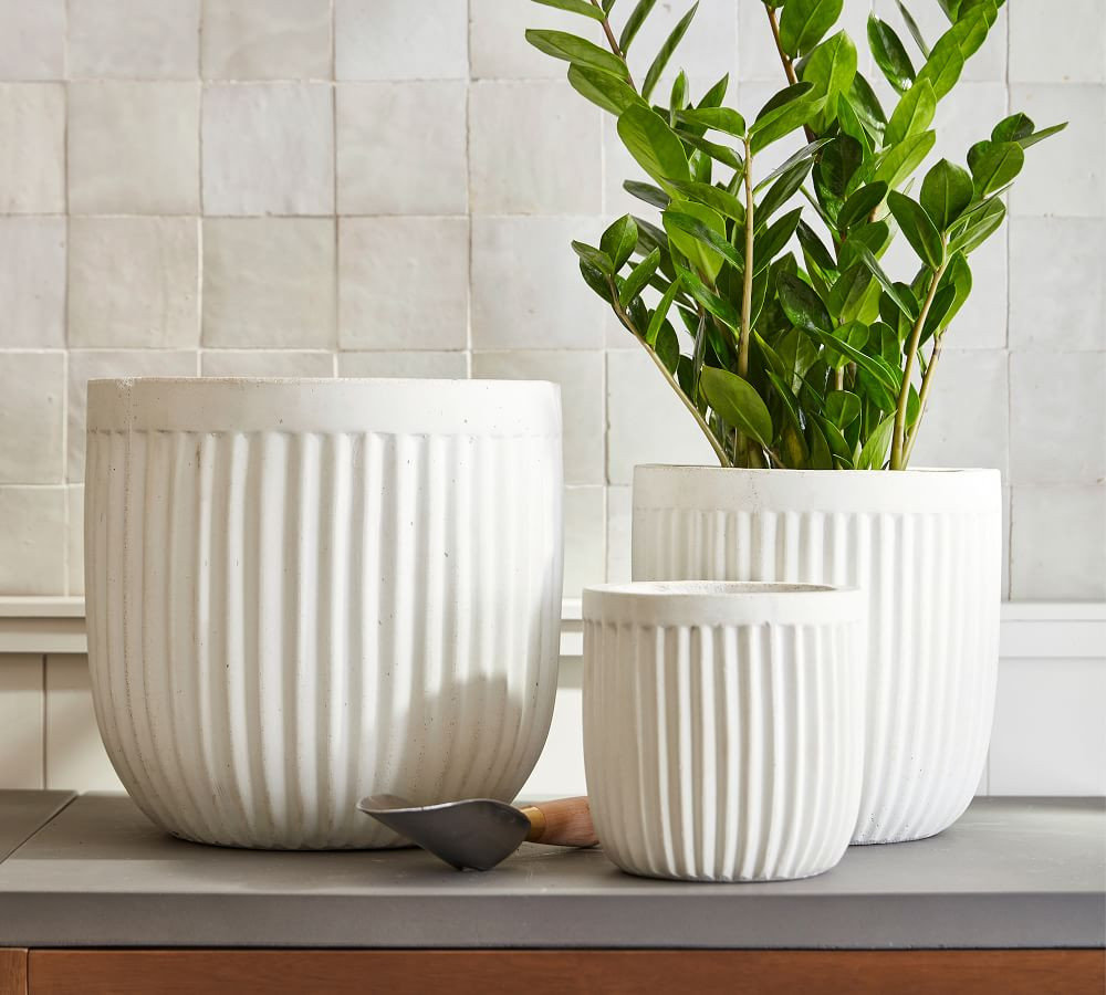 Concrete Fluted Planters | Pottery Barn (US)