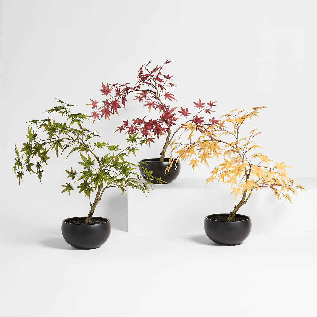Potted Faux Japanese Maple Tree Red 24" + Reviews | Crate & Barrel | Crate & Barrel