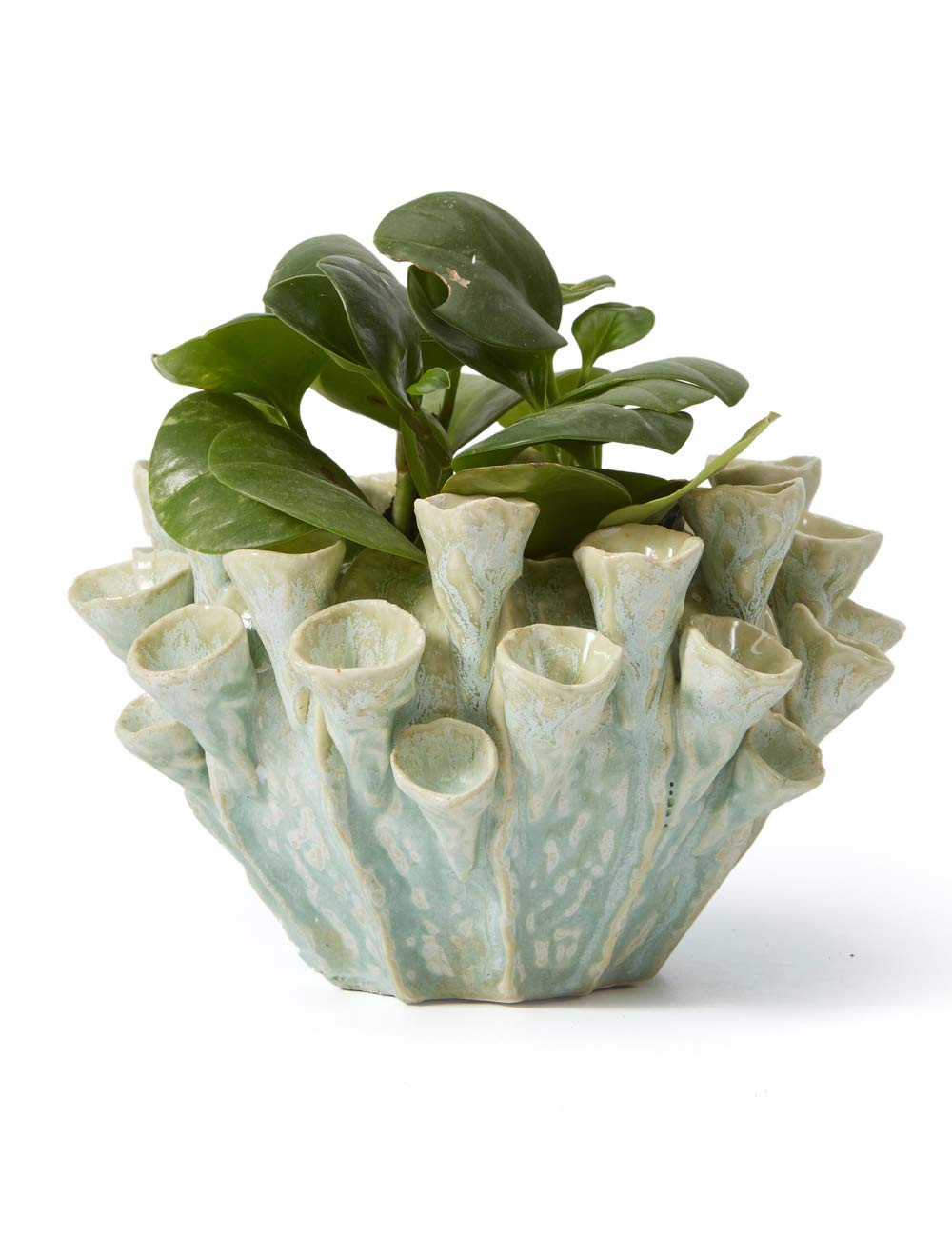SEINHIJO Ceramic Planter Flower Pot Indoor Cacuts Succulent Decor Gifts 7.1 inch | Amazon (US)