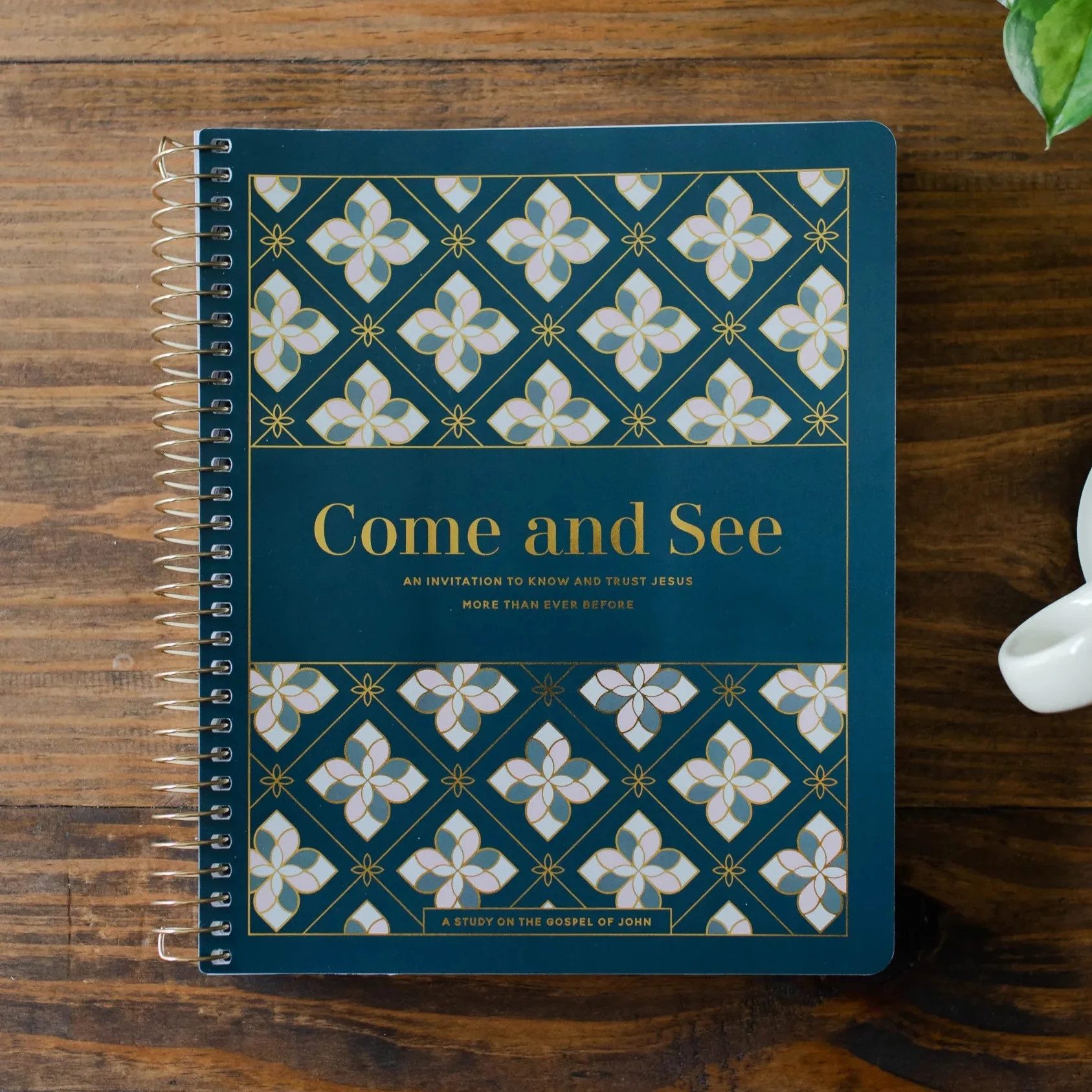 Come and See | Bible Study on John | The Daily Grace Co.