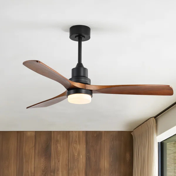 Nicola 52'' 3 - Blade Modern Ceiling Fan with Remote Control and Light Kit | Wayfair North America
