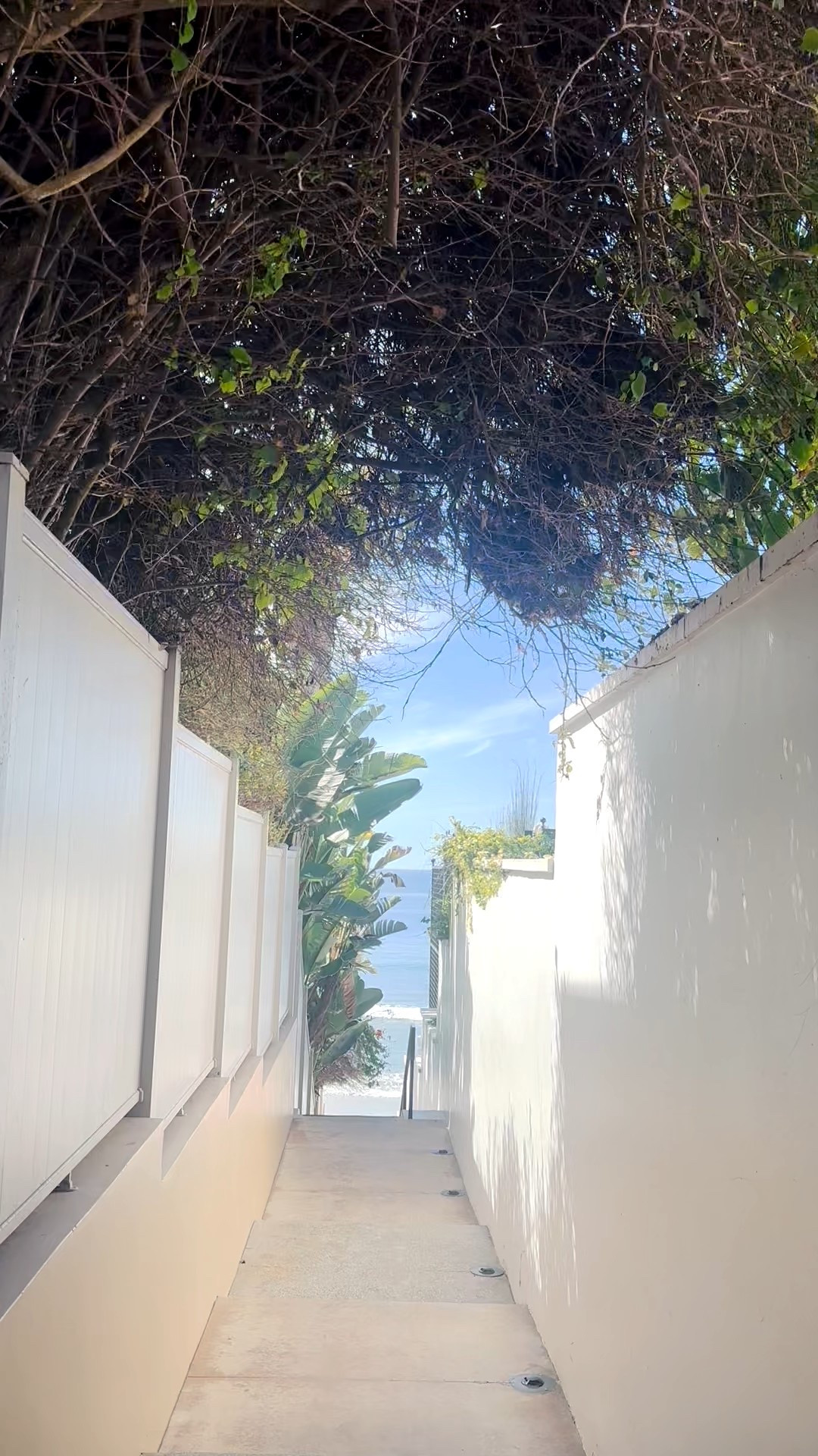 Follow the path… it leads straight to the oceana. #PathToTheBeach #BeachVibes #CoastalLiving #OceanBound #GoldenHourWalk #SeasideEscape #CoastalChic #LTKLifea

#LTKvlog #LTKdayinmylife #LTKTravel