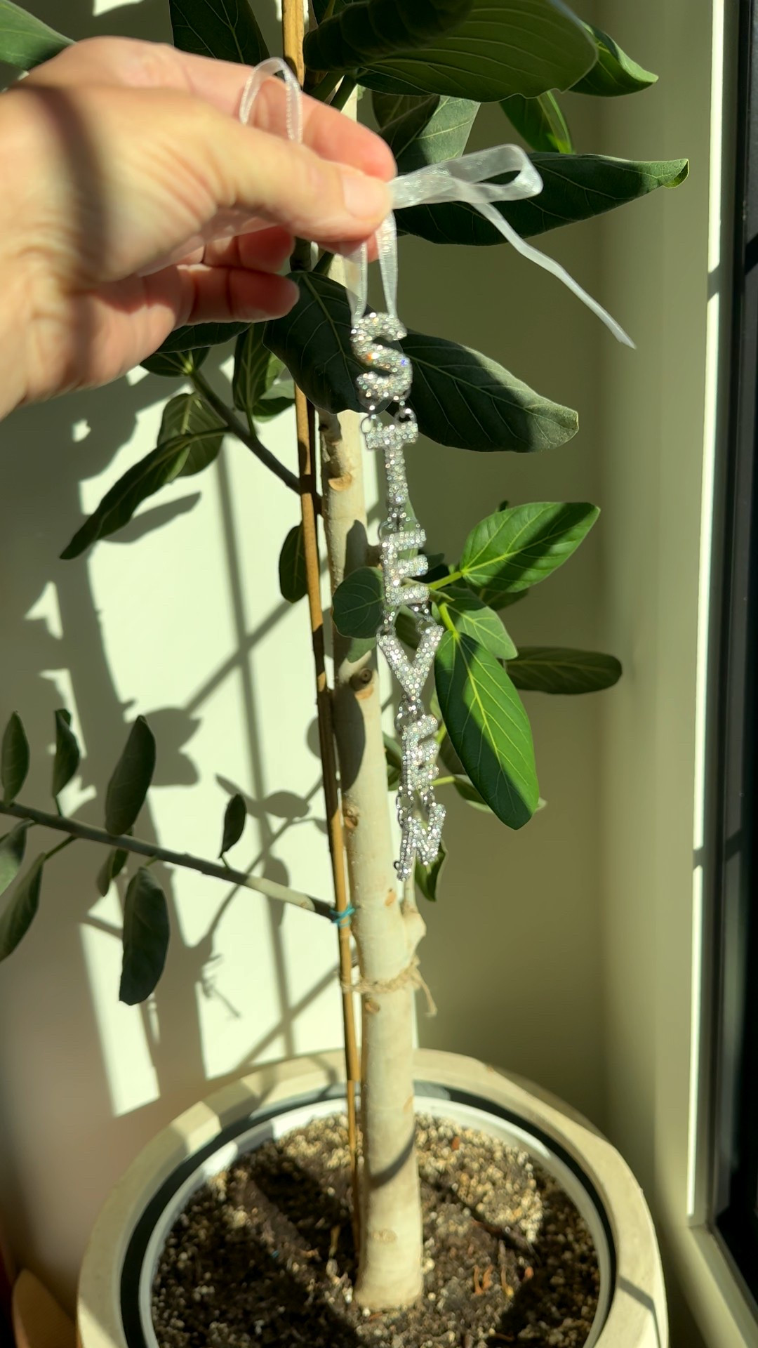 Custom name ornament from @baublebar arrives before Xmas! 

#LTKHoliday #LTKSeasonal #LTKGiftGuide