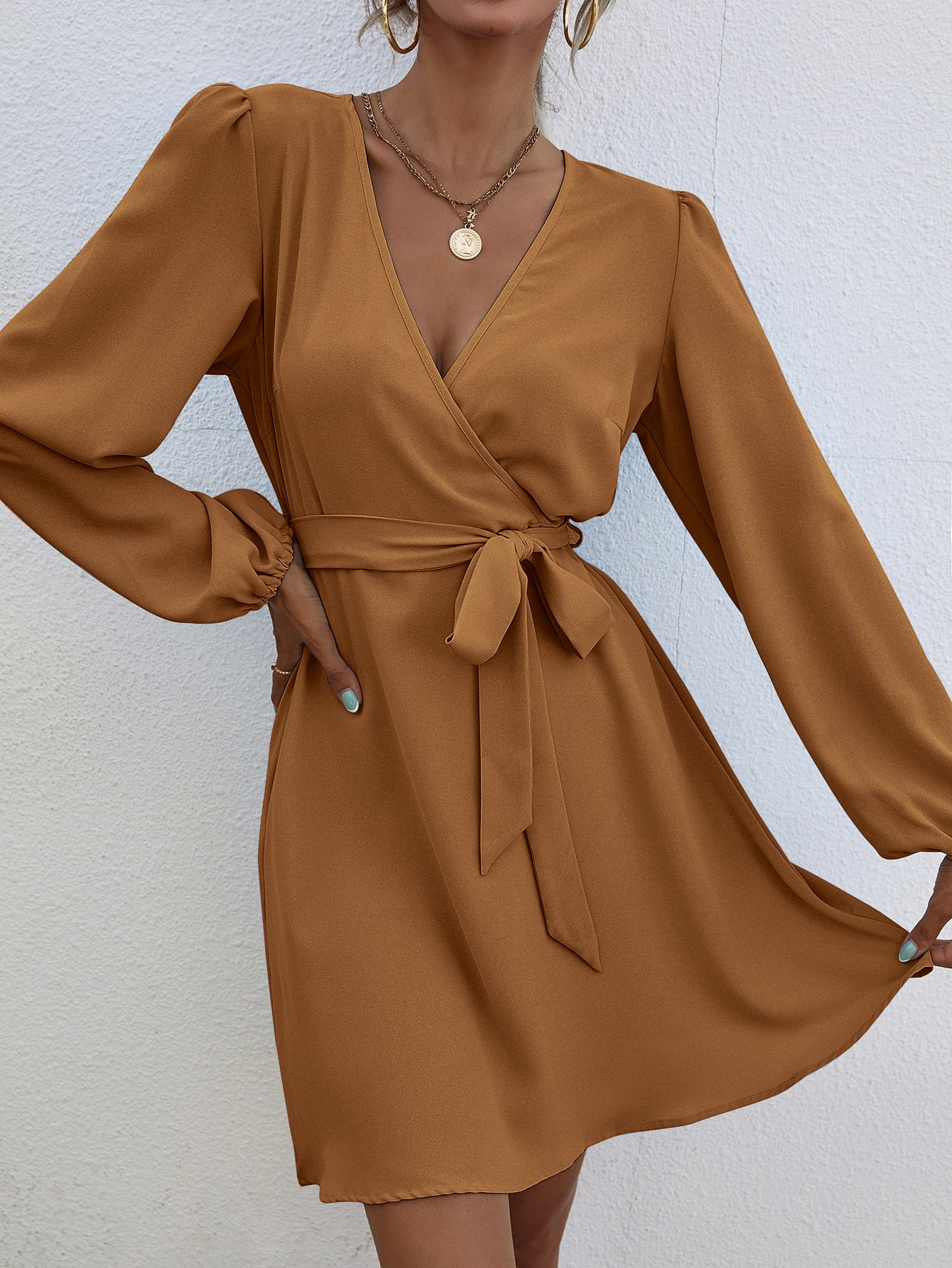 Lantern Sleeve Belted Dress | SHEIN