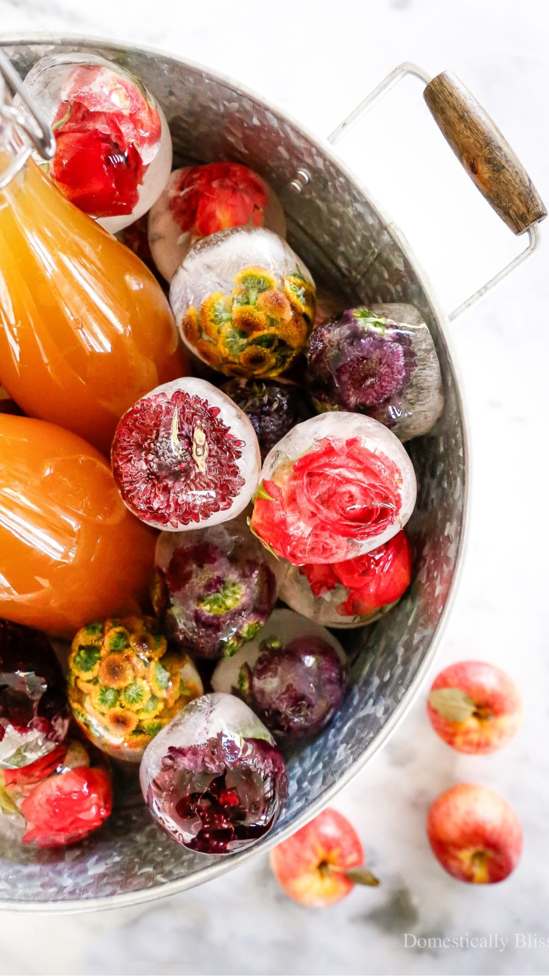 These Fall Flower Ice Balls are made with water and autumn color flowers. They are perfect for keeping your apple cider chilled at your next fall party.

See details:
https://domesticallyblissful.com/fall-flower-ice-balls/

🔗 Join our newsletter:
https://domesticallyblissful.com/newsletter/ 