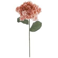 Blush Wild Hydrangea Stem by Ashland® | Michaels Stores