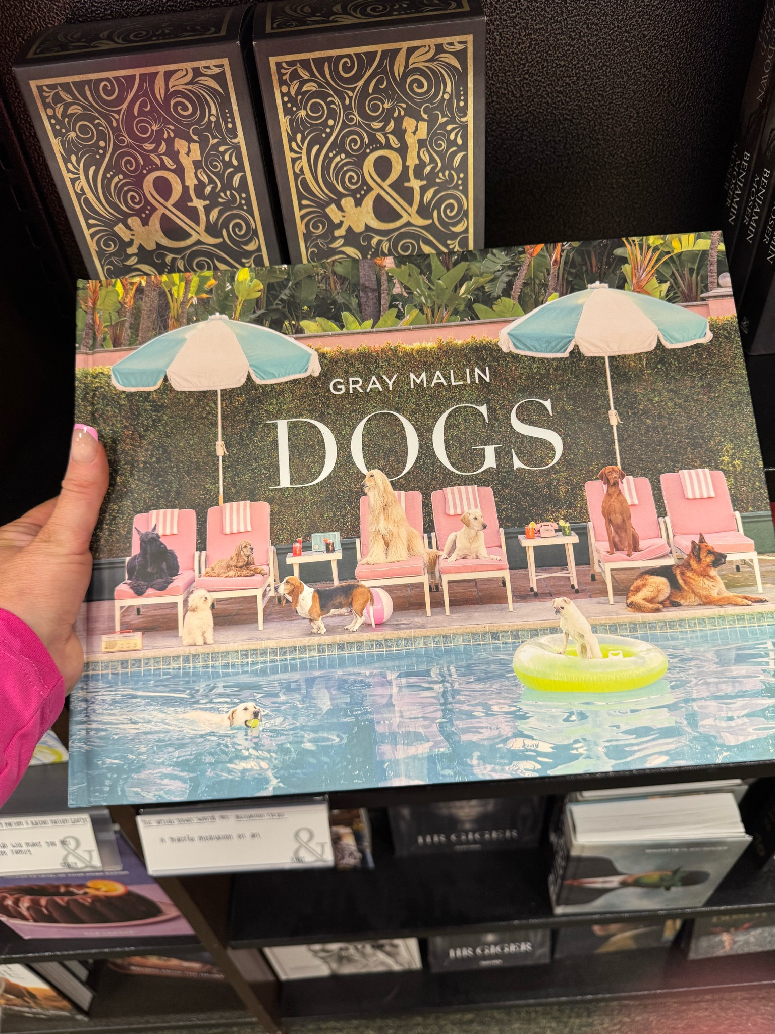 A must have his books are so fun 

#LTKGiftGuide #LTKTravel