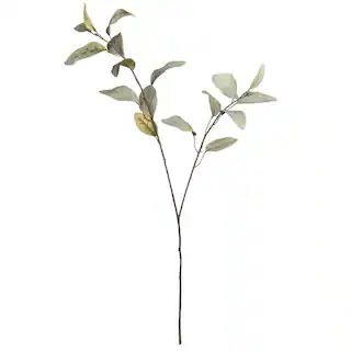 Green Feather Eucalyptus Stem by Ashland® | Michaels Stores