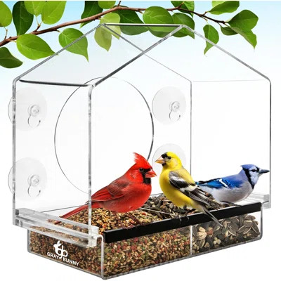 Window Bird Feeder With Strong Suction Cups (Clear) Bird Feeders For Outdoors With Drain Holes, Removable Tray And Large Seed Capacity | Wayfair North America