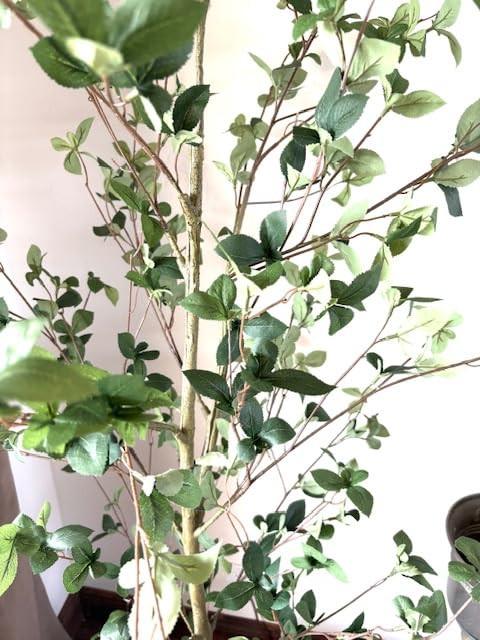 Bellacat Faux Black Olive Tree 7ft, Tall Faux Trees Indoor with Natural Trunk and Realistic Leave... | Amazon (US)