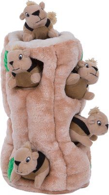 Outward Hound Hide A Squirrel Squeaky Puzzle Plush Dog Toy | Chewy.com