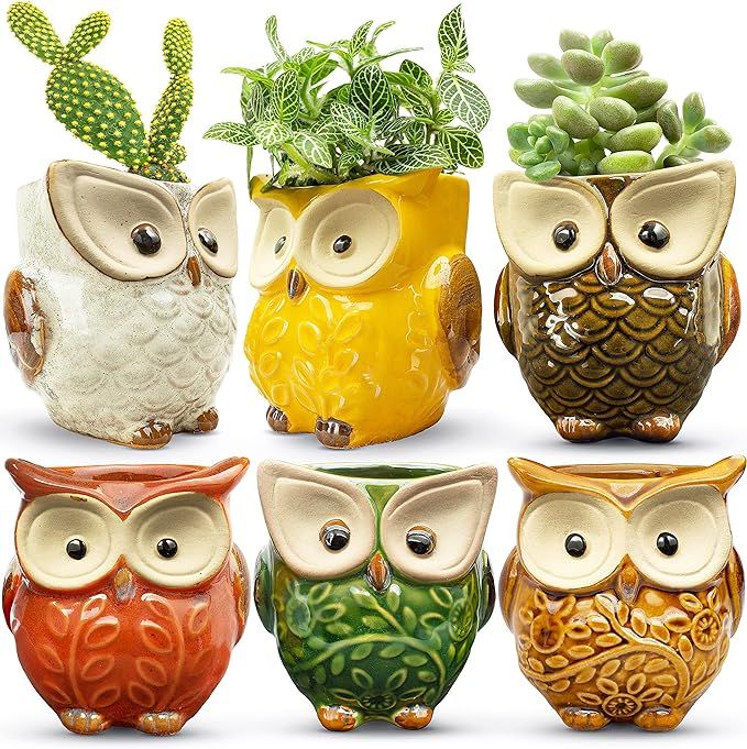 HOMESCAPE CREATIONS Owl Succulent Animal Planter Pot - 2.6 Inch Small Ceramic Glaze Container wit... | Amazon (US)