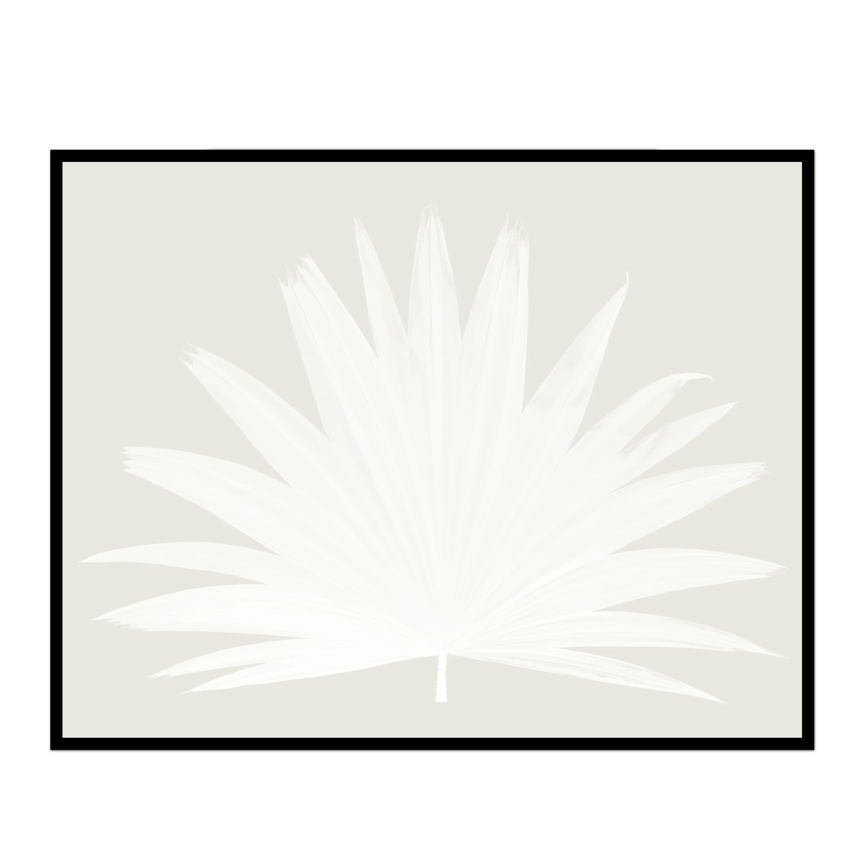 Fan Palm Print | Wall Art | Multiple Colors & Sizes | Urban Garden Prints