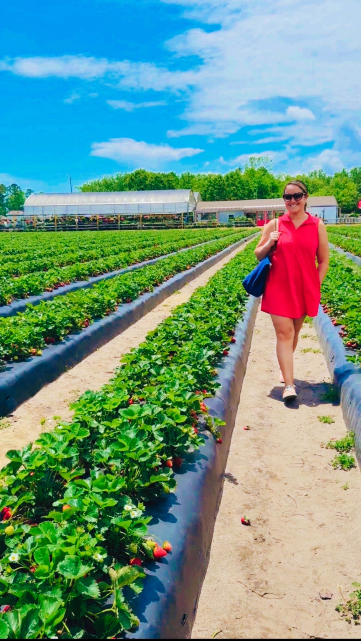 Strawberry Red is my favorite Spring shade ❤️