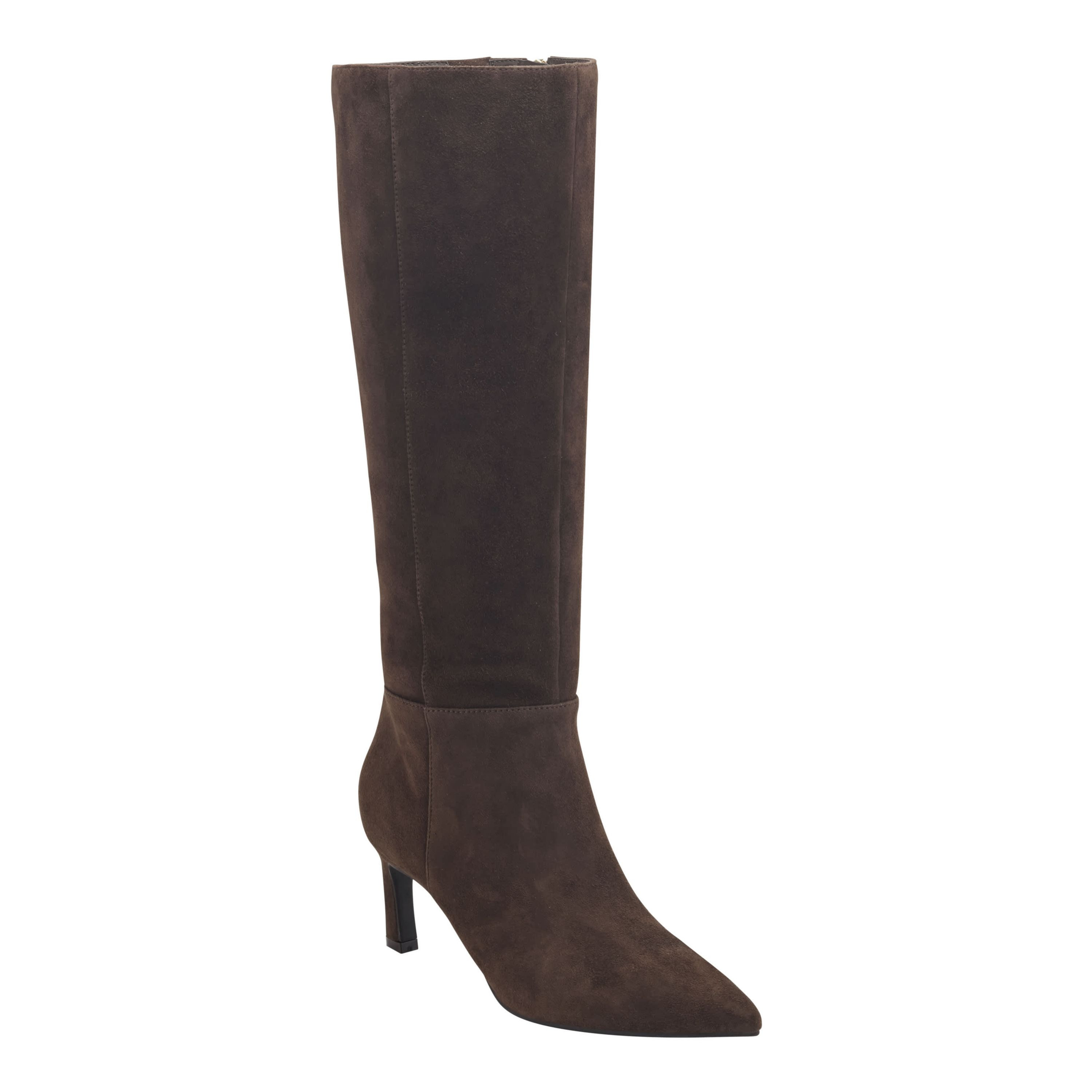 Lucinda Pointy Toe Tall Shaft Dress Boots | Belk