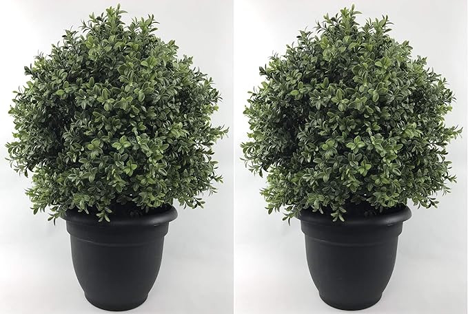 Silk Tree Warehouse Company Inc Two 24 inch Tall Outdoor Artificial 16 inch Wide Boxwood Topiary ... | Amazon (US)