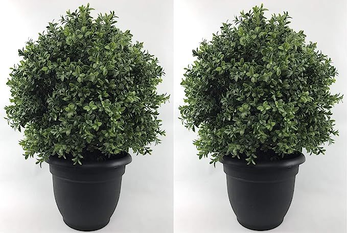 Silk Tree Warehouse Company Inc Two 24 inch Tall Outdoor Artificial 16 inch Wide Boxwood Topiary ... | Amazon (US)