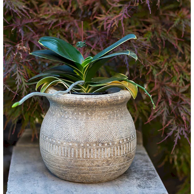 Edgardo Cachepot | Wayfair North America