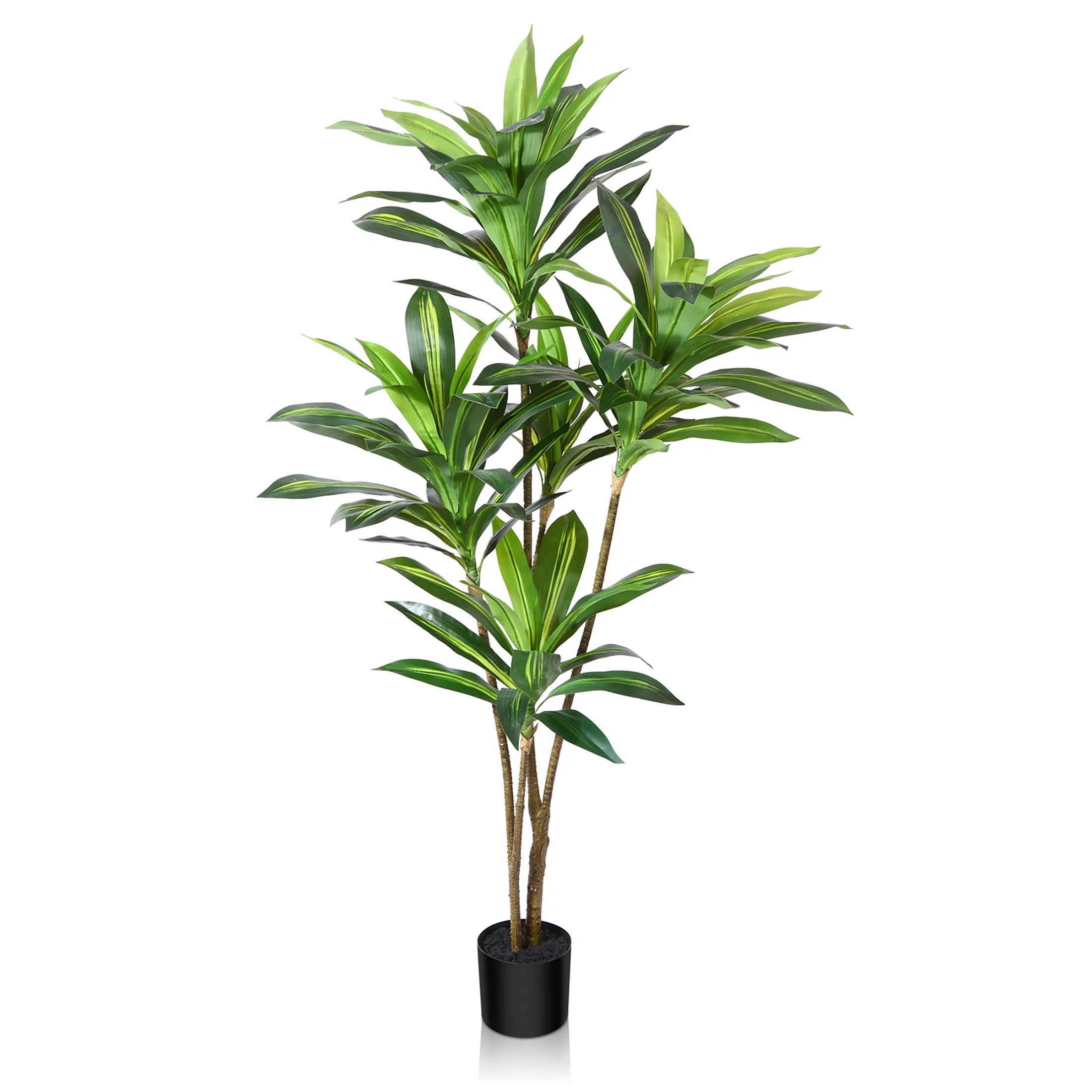 Adcock Artificial Dracaena Tree in Pot, Faux Dracaena Plant, Fake Tree for Home Décor | Wayfair North America
