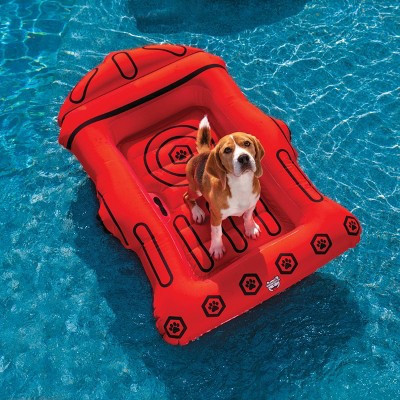 BigMouth Inc. Fire Hydrant Dog Float | Target