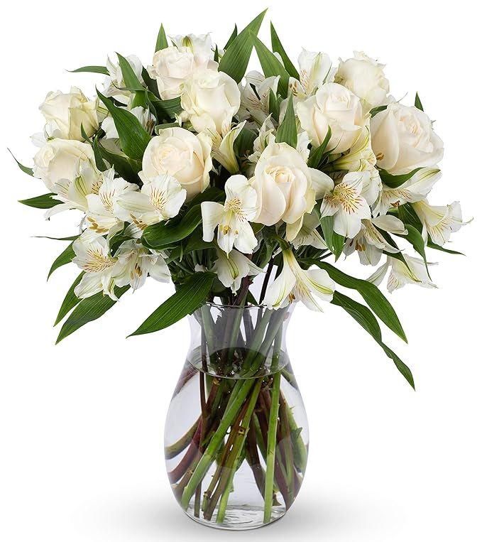 BENCHMARK BOUQUETS | Elegance Roses Bouquet, Prime Delivery, Free Vase, Farm Direct Fresh Flowers... | Amazon (US)