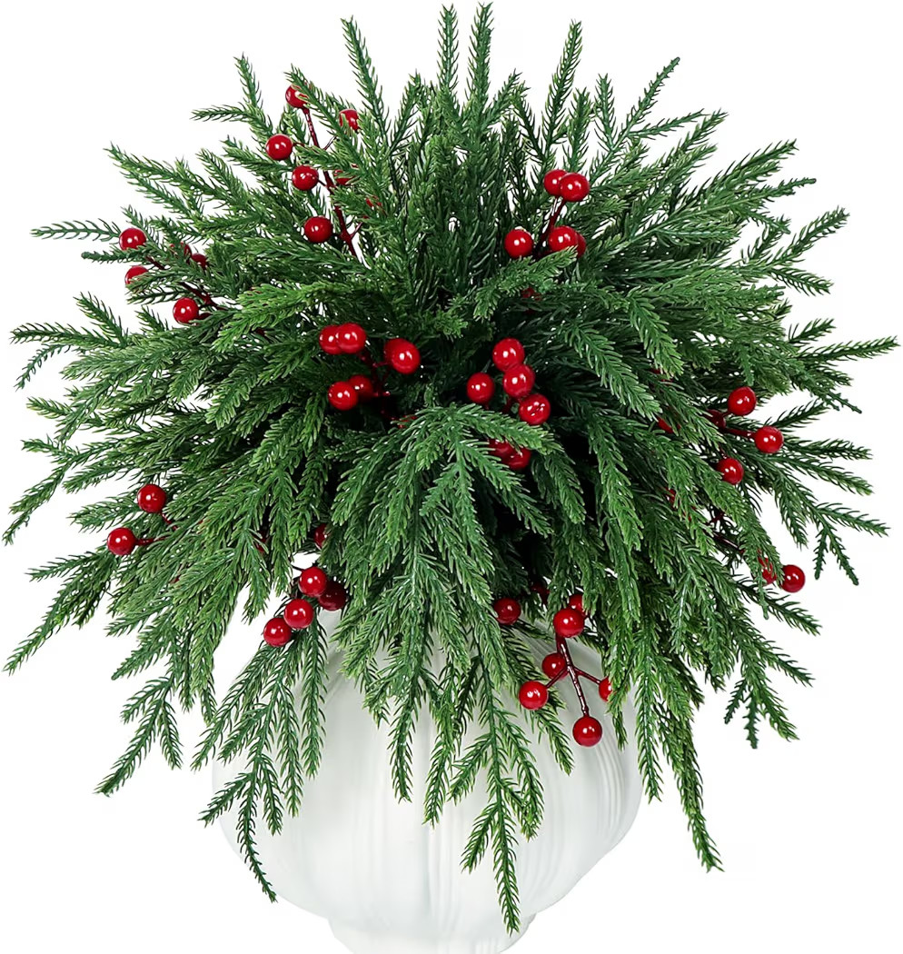Kesywale Set of 40 Artificial Norfolk Pine Branches with Red Berry 12.8" Christmas Greenery Picks Fake Norfolk Pine Stems Tree Needle Sprigs for Vase Filler DIY Craft Garland Home Decorations (Green) | Amazon (CA)