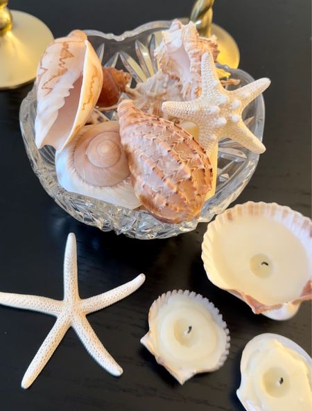 shells and candle making kit for diy seashell tea lights 🐚