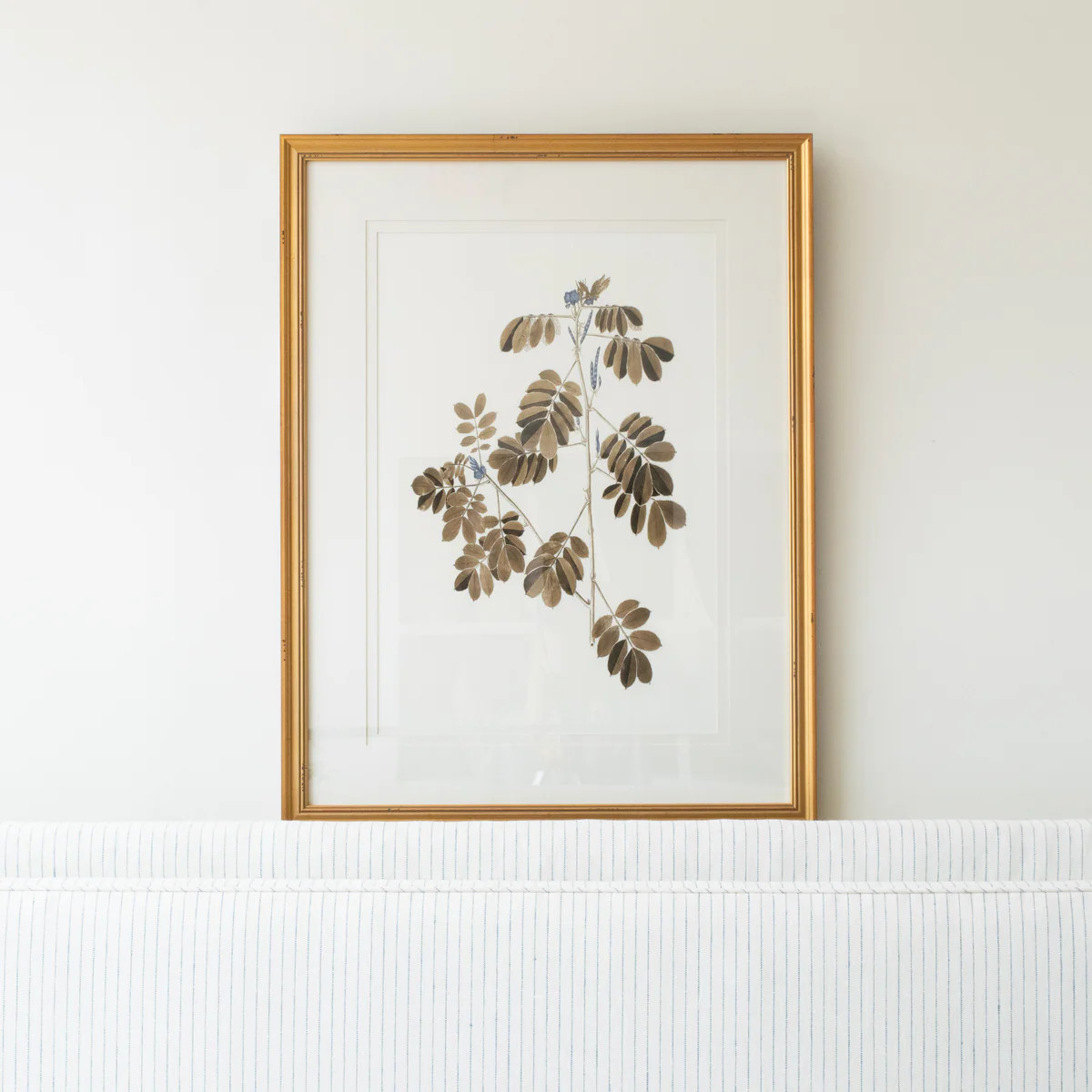 Botany Study 4 | Stoffer Home