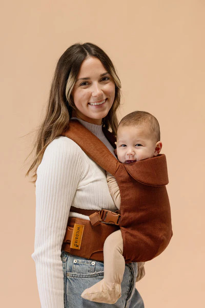 Pintail - Aerial Carrier | Wildbird