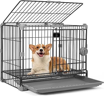 FLARUZIY 24’’ Multifunction Thick Dog Crate, Small Dog Kennel Dog Playpen with Double Door an... | Amazon (US)