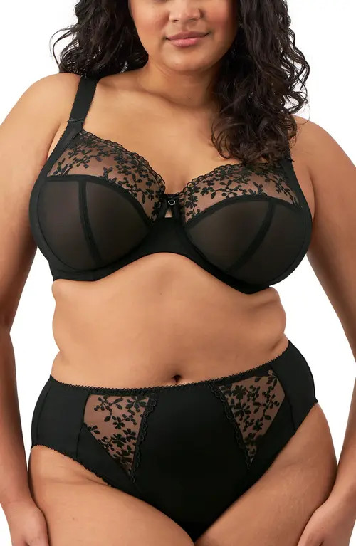 Elomi Zarla Full Figure Underwire Bra in Black at Nordstrom, Size 38Gg | Nordstrom
