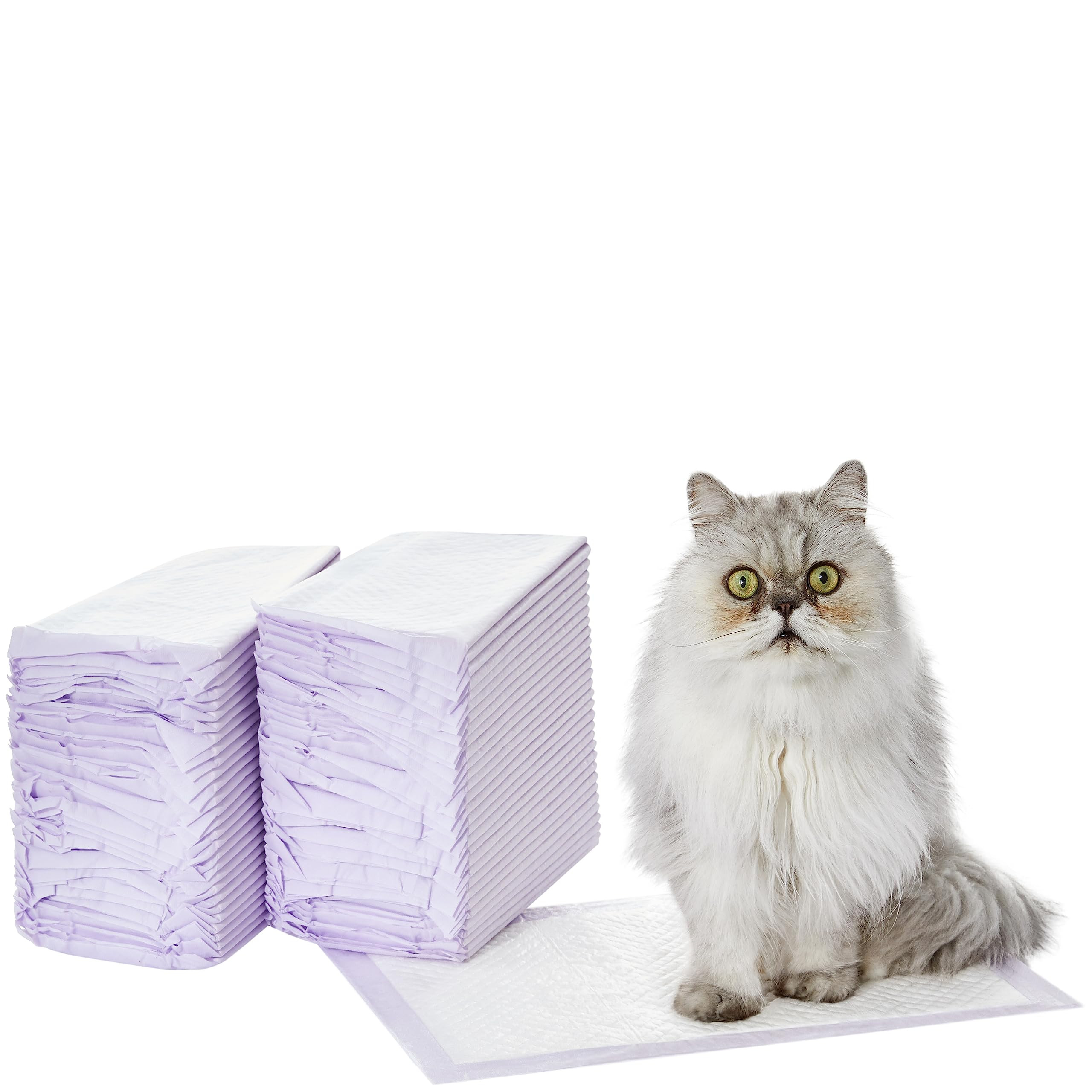 Amazon Basics Cat Pad Refills for Litter Box, Unscented, Pack of 60, Purple | Amazon (US)
