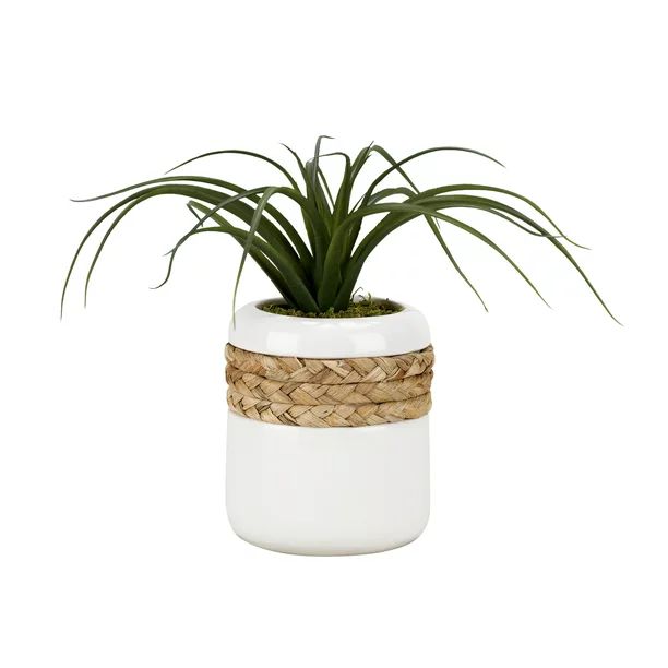 D&W Silks Curly Tillandsia in Round Ceramic Planter Wrapped in Rope | Walmart (US)