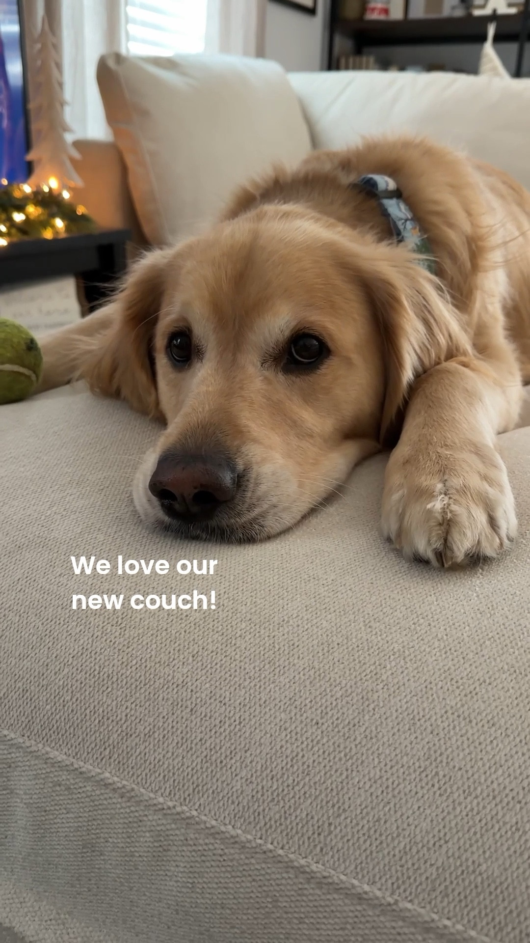 Cloud nova oyster white! The comfiest couch!!! 

#LTKGiftGuide #LTKHoliday #LTKHome